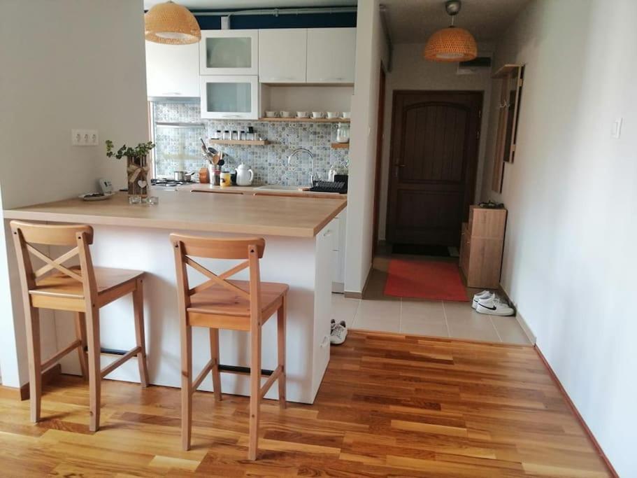 Apartamento Delightful - Szines Es Pihenteto Odorheiu Secuiesc Exterior foto