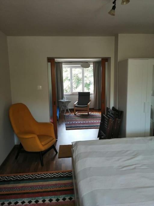 Apartamento Delightful - Szines Es Pihenteto Odorheiu Secuiesc Exterior foto